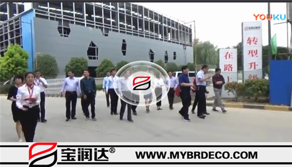 張雪飛市長，住建部長處長一行來訪寶潤達(dá)