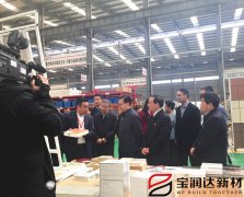 副國級領(lǐng)導(dǎo)來訪寶潤達參觀調(diào)研