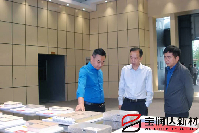 市產(chǎn)業(yè)集聚區(qū)冀偉主任一行來訪寶潤達(dá)視察